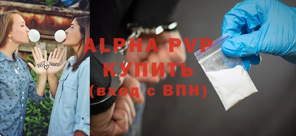 ГАЛЛЮЦИНОГЕННЫЕ ГРИБЫ Богданович
