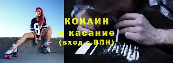 ГАЛЛЮЦИНОГЕННЫЕ ГРИБЫ Богданович
