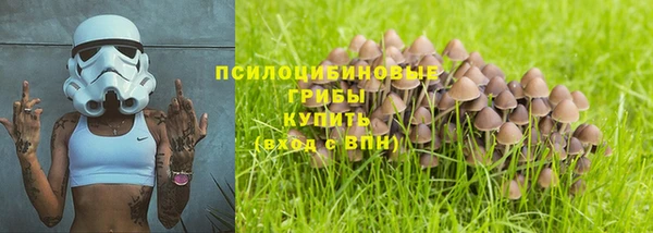 ГАЛЛЮЦИНОГЕННЫЕ ГРИБЫ Белоозёрский