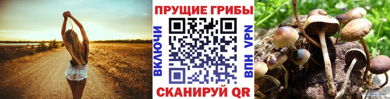 Псилоцибиновые грибы ЛСД  Кириллов 