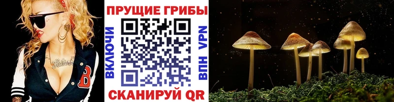 Галлюциногенные грибы мухоморы Кириллов